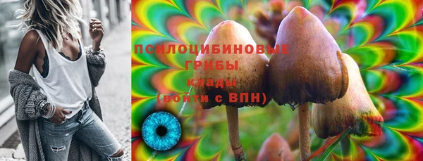 мдпв Вяземский