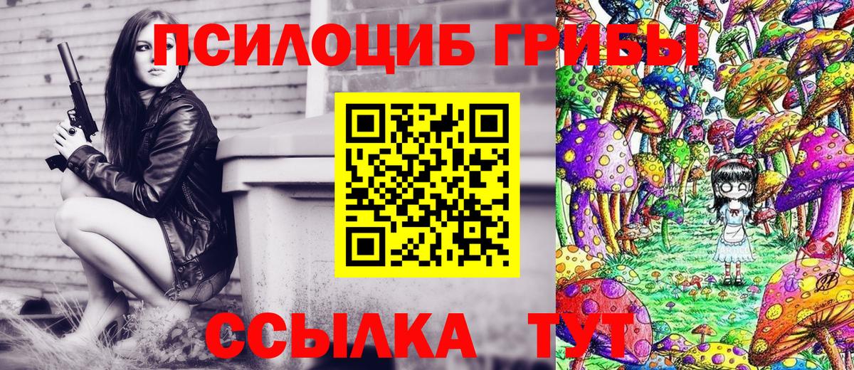 Галлюциногенные грибы Magic Shrooms  Клинцы 